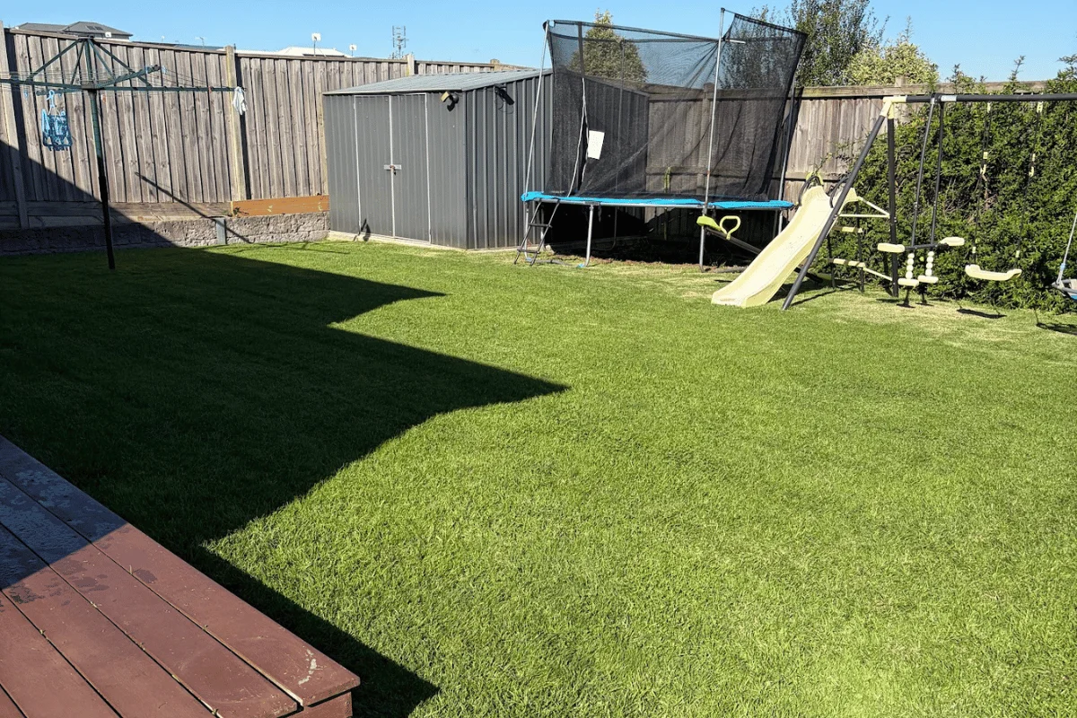 Garden maintenance and plants