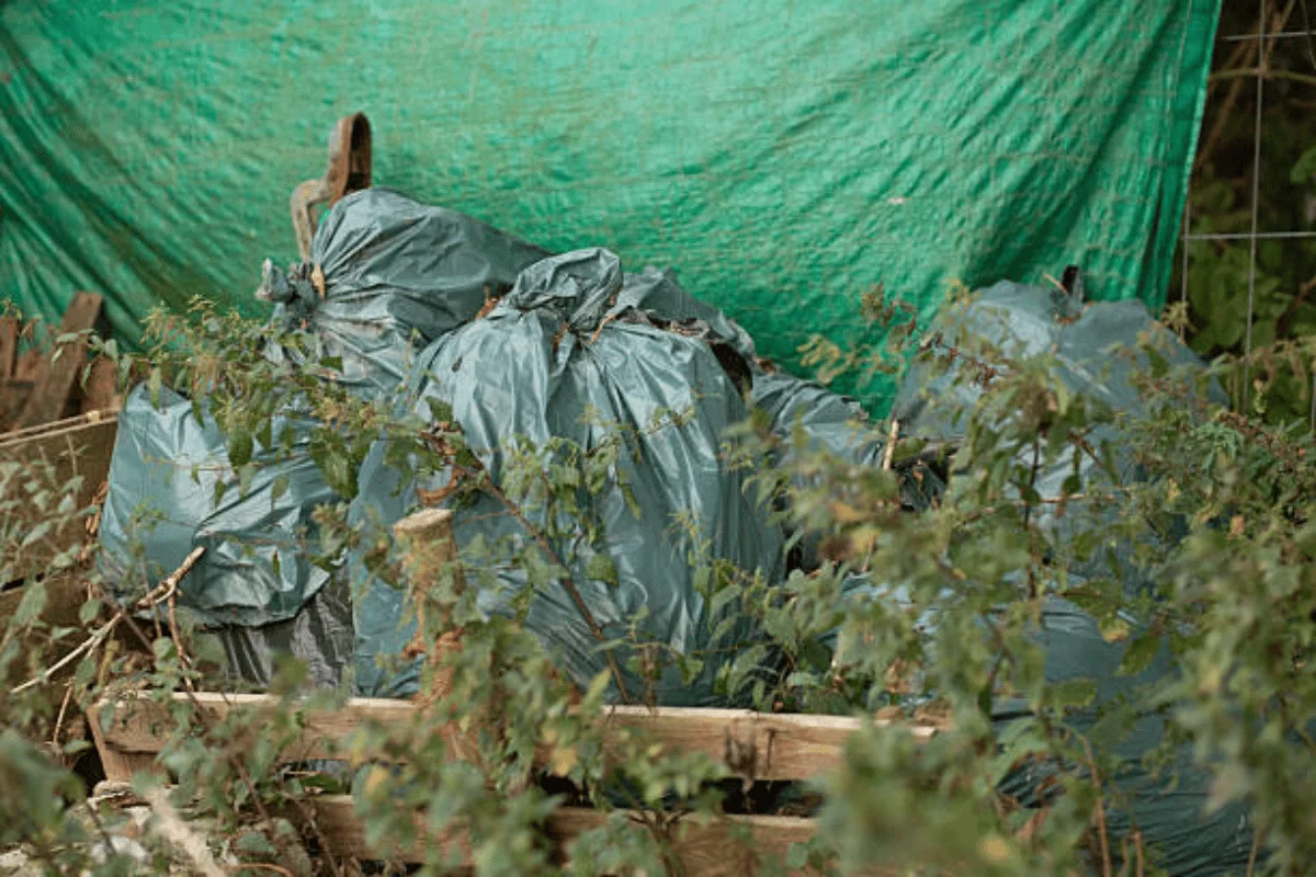 Garden green waste