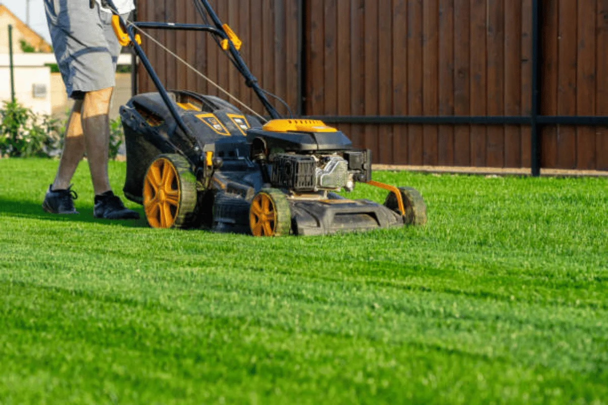 Lawn mowing and garden maintenance in Moe