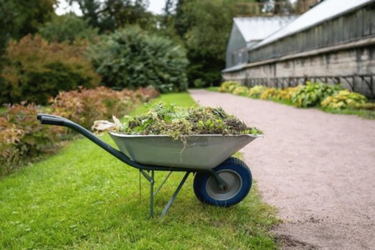 Garden clean up